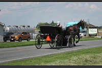Mit Kutsche und Warndreieck: Eine amische Frau fährt mit ihrem Pferde-Buggy durch New Holland in Lancaster County. - © Heike Schmidt-Windhoff/dpa-tmn