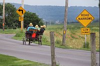 Autofahrer müssen jederzeit bremsbereit sein. Denn Pferde-Buggys, wie hier auf einer Landstraße in Lancaster County, sind langsame Gefährte. - © Heike Schmidt-Windhoff/dpa-tmn