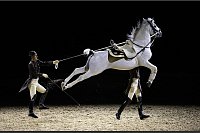 Spanische Hofreitschule tritt mit ihren Lipizzanern in Wembley auf - © Matt Alexander Media Assignments/PA Wire/dpa