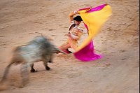 Die jeweils sechs Stiere eines Laufs sterben später am Tag in der Stierkampfarena. Tierschützer protestieren seit Jahren vergeblich gegen das Spektakel. - © Miguel Oses/AP/dpa