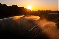 Ein Kartoffelfeld wird in Niedersachsen aufgrund der anhaltenden Trockenheit am frühen Morgen bewässert . - © Sina Schuldt/dpa