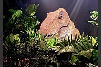 Der genetisch modifizierte Indominus Rex lauert hinter Sicherheitsglas und sorgt für Nervenkitzel. - © Carola Frentzen/dpa-tmn