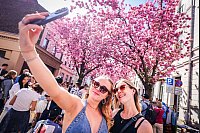 Selfies mit pinkem Hintergrund gehen zu Tausenden in die sozialen Netzwerke. - © Christoph Reichwein/dpa