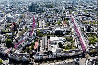 Zwei Straßen in Bonn sind wegen der Kirschblüten-Besucher für den Autoverkehr gesperrt. - © Christoph Reichwein/dpa