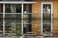 Halloween im Hochwasser: Zwei Deko-Skelette stehen bei Überschwemmungen nach Hurrikan Milton im US-Bundesstaat Florida bis über die knochigen Hüften im Wasser. - © Mike Carlson/AP/dpa