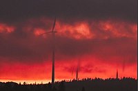 Windräder im Abendrot - © Marius Bulling/dpa