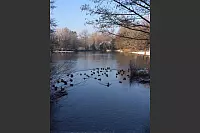 Winter - &copy; Leserfotos