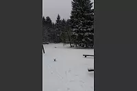 Winter - &copy; Leserfotos