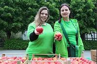 tärkungsstation: (von links) Rhiannon James und Tanja Schillmann von der AOK versorgten die Wanderer mit 315 Äpfeln. - © Erol Kamisli