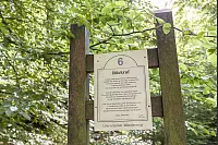 Familienwanderweg in Hörste - © Torben Gocke