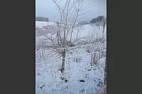 Winter - &copy; Leserfotos