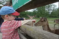 Das war die LZ-Sternwanderung 2018. - © Daniel Hobein