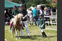 Shetlandponyturnier in Vahlhausen - © Daniela Cremer