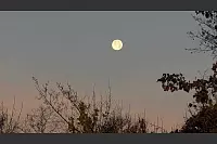 Supermond über Lippe - © Volker Mellies