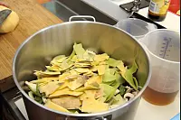 Die Kochprofis von RTL 2 waren zu Gast im Klosterkrug Falkenhagen. - &copy; Marianne Schwarzer