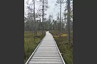 Atemberaubend schöne Landschaften hat Celine Hinz in Schottland und Irland sowie später in Norwegen und Finnland gesehen. - © Celine Hinz