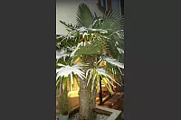 Winter - &copy; Leserfotos