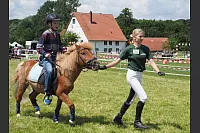 Shetlandponyturnier in Vahlhausen - © Daniela Cremer