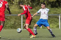 TuS Asemissen - FC Türk Sport - © Egon Penner