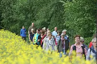 Das war die LZ-Sternwanderung 2018. - © Daniel Hobein