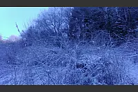 Winter - &copy; Leserfotos