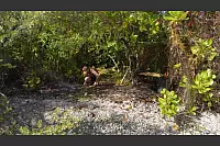 Alexander Maksimov war f&uuml;r sieben Tage auf einsamen Inseln auf sich allein gestellt. - &copy; Alexander Maksimov