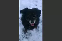 Winter - &copy; Leserfotos