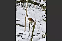 Dieses Foto wurde an den Externsteinen aufgenommen. - &copy; Melanie Beermann