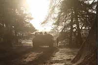 Morgensonne bescheint den Leoprad - © Vera Gerstendorf-Welle