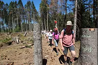 Am zweiten Tag ging es für die 17-köpfige Wandergruppe von Bad Driburg nach Kleineberg (Lichtenau). - © Niklas Böhmer