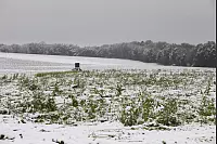 Impressionen aus dem Kreis - © Vera Gerstendorf-Welle