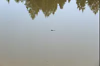 "NaturZeitReise" im Schwalenberger Wald. - © Silke Buhrmester