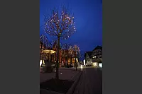 Weihnachstraum und Weihnachtslichter in Bad Salzuflen - &copy; Vera Gerstendorf-Welle