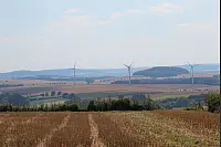 "NaturZeitReise" im Schwalenberger Wald. - © Silke Buhrmester