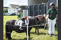 Shetlandponyturnier in Vahlhausen - © Daniela Cremer
