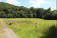 "NaturZeitReise" im Schwalenberger Wald. - © Silke Buhrmester