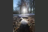 - &copy; Vera Gerstendorf-Welle