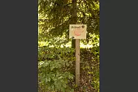 Familienwanderweg in Hörste - © Torben Gocke