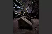 So magisch kann eine Winternacht sein. - &copy; Ulrike Grabow