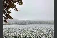 Auf der Straße zwischen Fissenknick und Diestelbruch. - © Freya Köhring