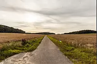 Familienwanderweg in Hörste - © Torben Gocke