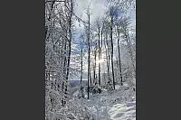 An der Grotenburg unterhalb des Hermanns strahlt die Sonne. - &copy; Sylvia Th&ouml;ing
