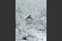 Ein wahrer Wintertraum ist dieser Blick im Schling in Detmold. - &copy; Manuel Scheer