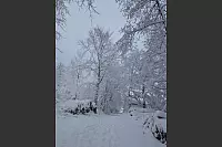 In Extertal-Linderhofe zeigt sich die Natur im Winterkleid. - &copy; Holger Nolting