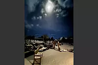 Dieser Garten leuchtet im Mondschein. - &copy; Wiebke Brunsiek