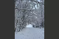 Auf dem Weg zum Bismarckturm in Bad Salzuflen sieht man diese winterliche Impression. - &copy; Anna Hertel