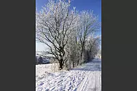 Winter - &copy; Leserfotos