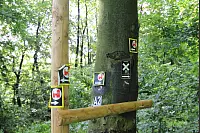Traumhafte Aussichten auf dem kleinen Sternberger Rundweg in Extertal. - © Foto: Rademacher
