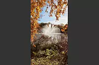 Ein äußerst beliebtes Fotomotiv in Bad Salzuflen: die Fontäne im Kurparksee. - © Melanie Meyer