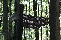 "NaturZeitReise" im Schwalenberger Wald. - © Silke Buhrmester